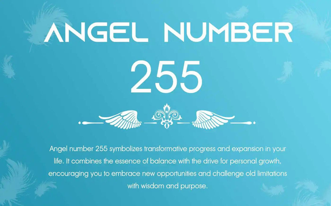 255 Angel Number Meaning