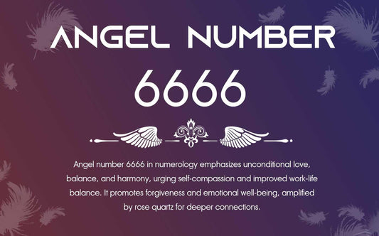 Angel number 6666 Meaning:Brave Love and Social